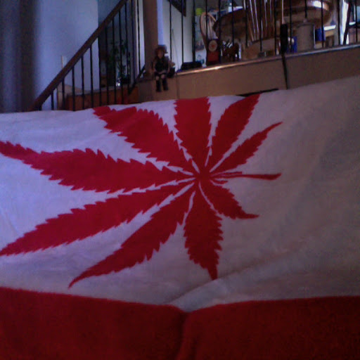 Allan Phipps Photo 3