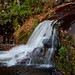 Virginia Staton Photo 8