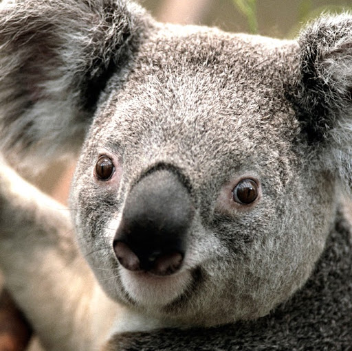 Cyndi Edwards Photo 8