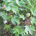 Christi Cotton Photo 5