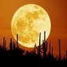 Paul Ruppert Photo 8