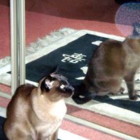 Trudy Johnston Photo 6