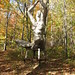 Dawn Griffis Photo 13