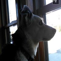 Michael Whittemore Photo 14