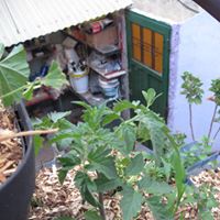 Eugenio Fernandez Photo 28