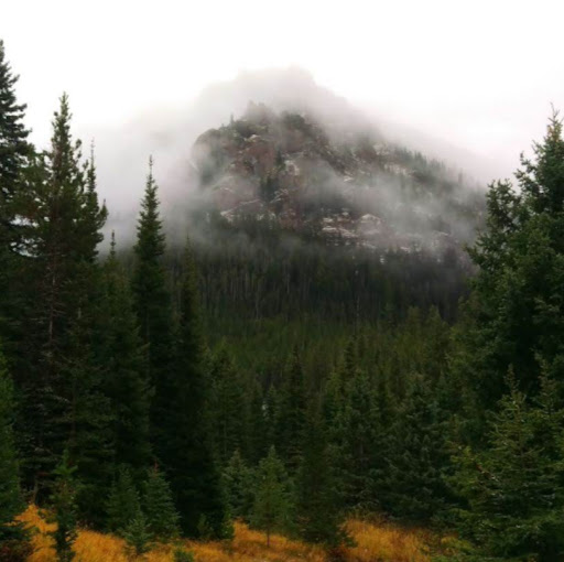 Sean Weaver Photo 15