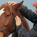 Robert Leclerc Photo 5