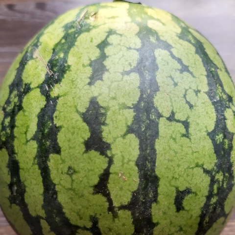 Will Harper Photo 39