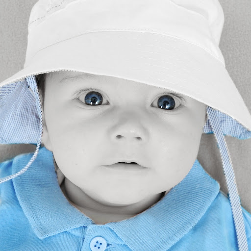 Denis Mcbride Photo 23 Denis Mcbride Photo 23