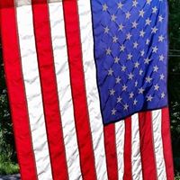 Joann Morgan Photo 29