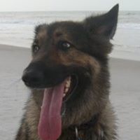 Lisa Spector Photo 10