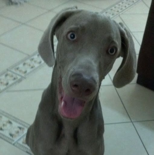 Julian Curiel Photo 7