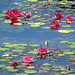 Lisa Waters Photo 32