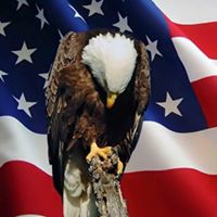 David Schaller Photo 30