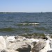 Reginald Truitt Photo 8