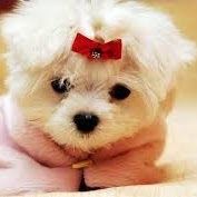 Judy Duarte Photo 23