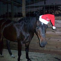 Nancy Crandall Photo 9