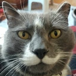 Keith Butler Photo 33 Keith Butler Photo 33