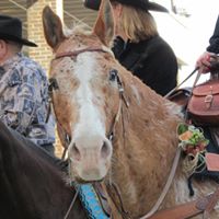 Tracy Sherman Photo 22