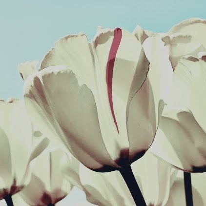 Leah Robbins Photo 13