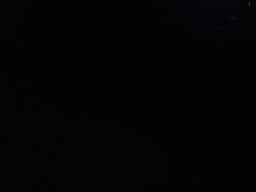 Steven Wiggins Photo 33