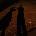 Stanley Tracey Photo 7