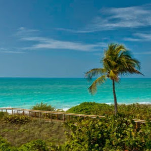 Anita Mayfield Photo 2