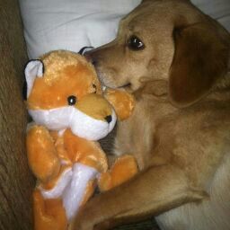 Rebecca Mullins Photo 30