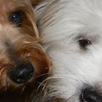 Toni Mclean Photo 15