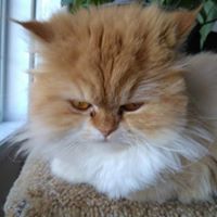 Ruth Jimenez Photo 40