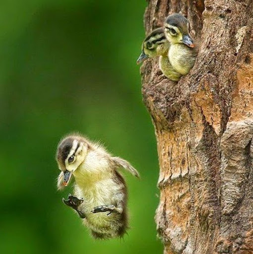 Megan Peterson Photo 15 Megan Peterson Photo 15