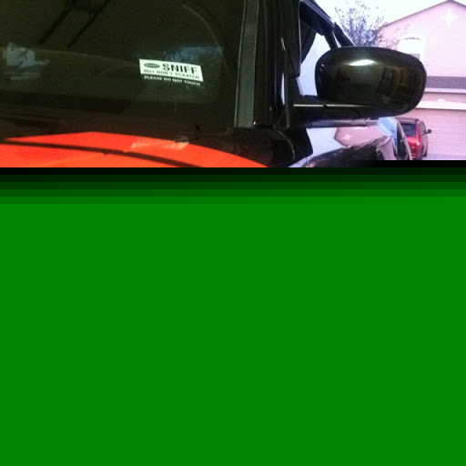 Mike Stevens Photo 40