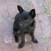 Debbie Benner Photo 30