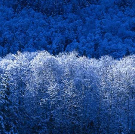 Christina Shafer Photo 5