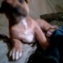 Robert Schrader Photo 12