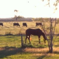 Cynthia Putman Photo 5