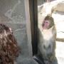 Michelle Houser Photo 24