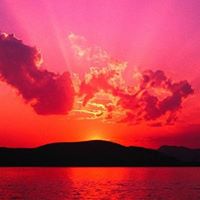 Roy Howard Photo 6 Roy Howard Photo 6