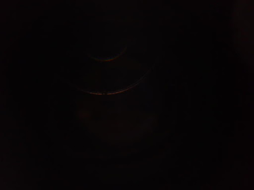 Tommy Voelker Photo 1