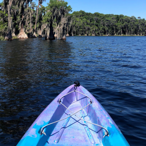 Michelle Dunn Photo 6