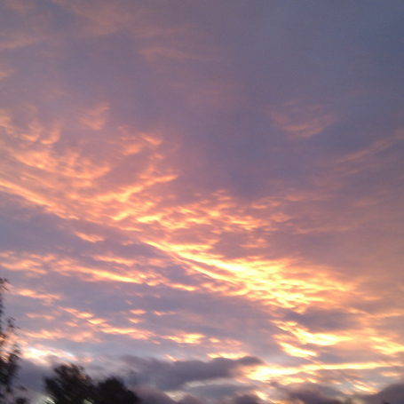 Terence Foley Photo 2