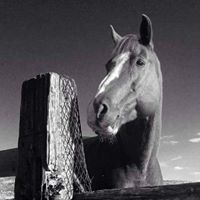 Melissa Albrecht Photo 29