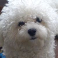 Shirley Mccarthy Photo 20