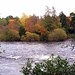 Autumn Ness Photo 5