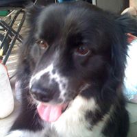 Kimberly Crain Photo 6