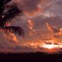 Carol Childers Photo 24