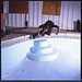 Lee Bender Photo 7