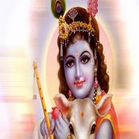 Darshan Patel Photo 44