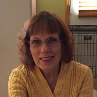Cynthia Comstock Photo 5