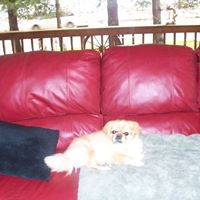 Cindy Neeley Photo 12